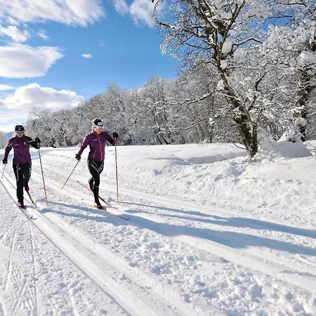 Modern And Bright Opposite Ski-lift * Münster