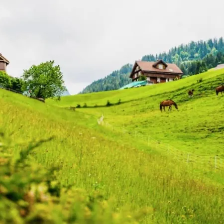Appartement Modern And Bright Opposite Ski-lift Münster