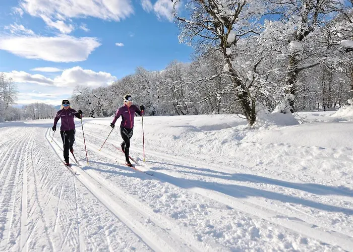 Modern And Bright Opposite Ski-lift * Мюнстер